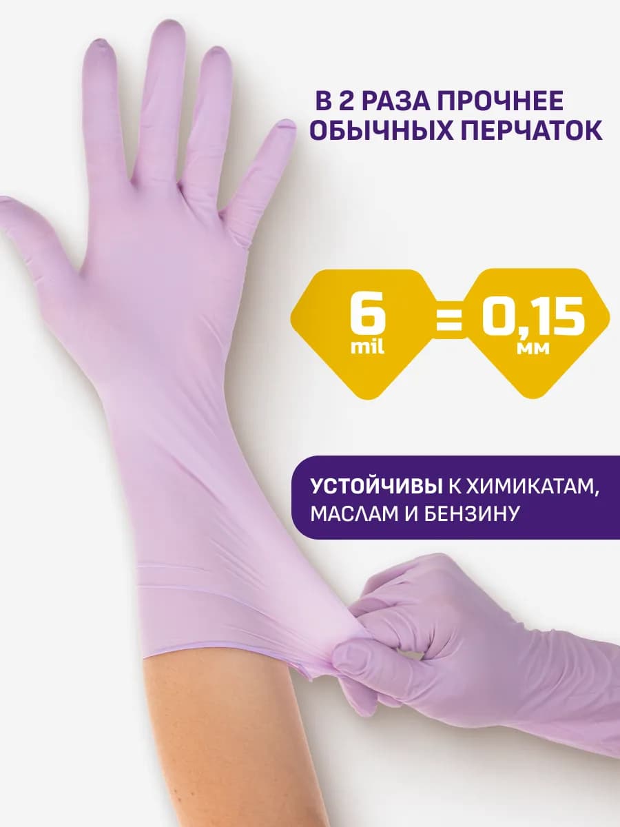 20MD6pl 02.webp